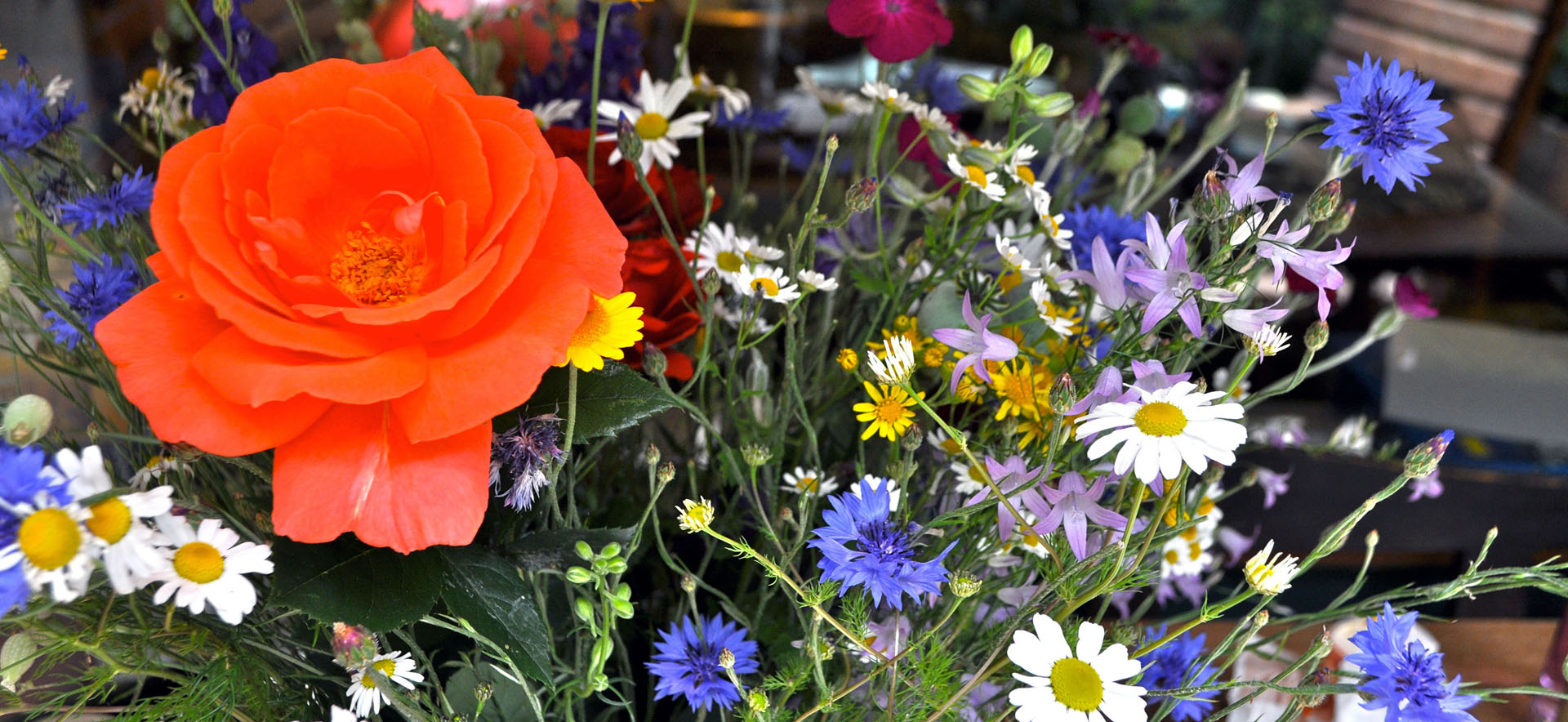 Foto: Alexander Jürgs/Schirn Magazin, 2016