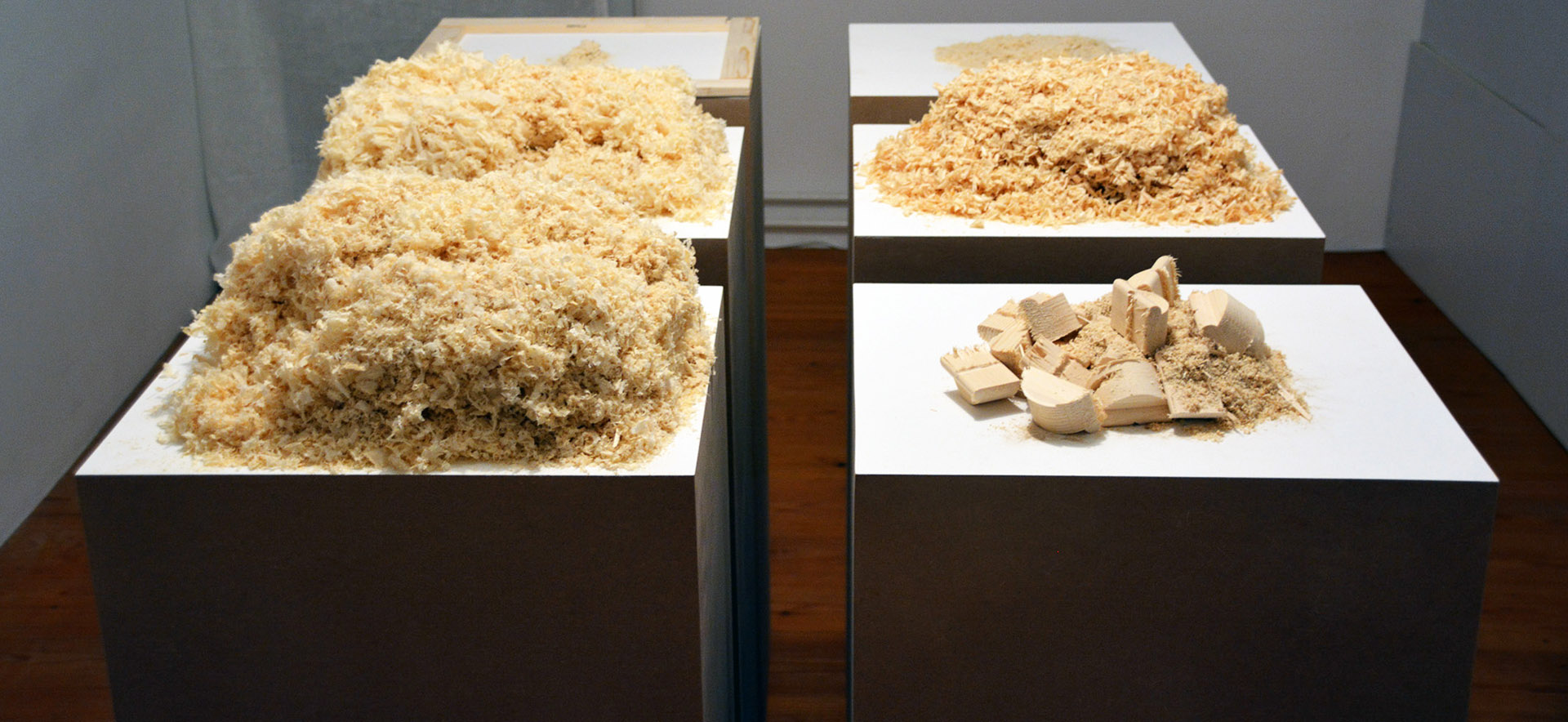 Foto Thomas Braunsberger