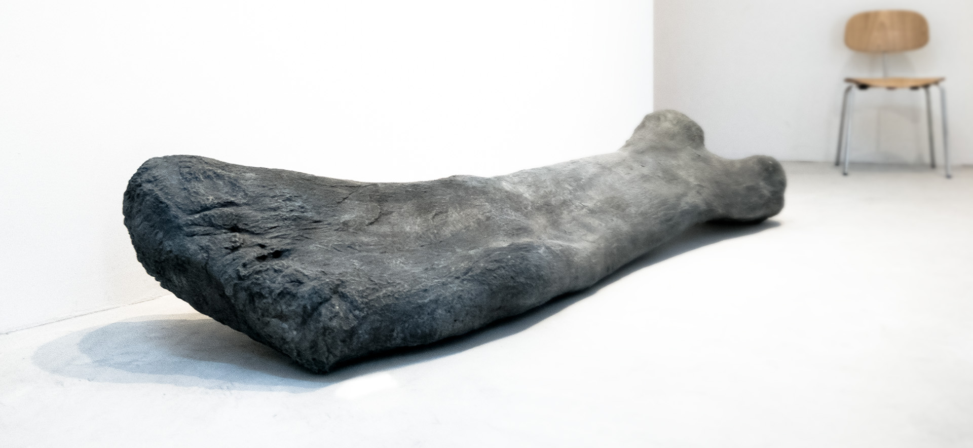 Nora Al-Badri and Jan Nikolai Nelles, Single Bone, 2017