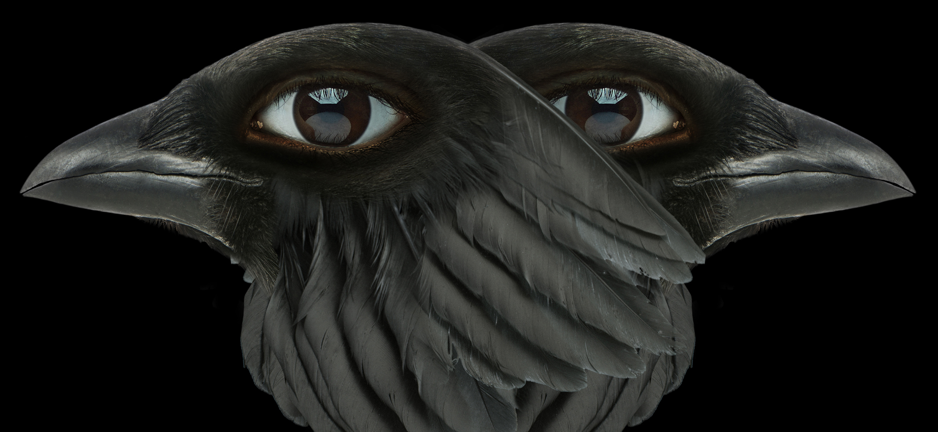 Agnieszka Polska, The Demon’s Brain, 2018 © Agnieszka Polska, Courtesy Zak Branicka Galerie, Berlin and OVERDUIN & CO., LA 