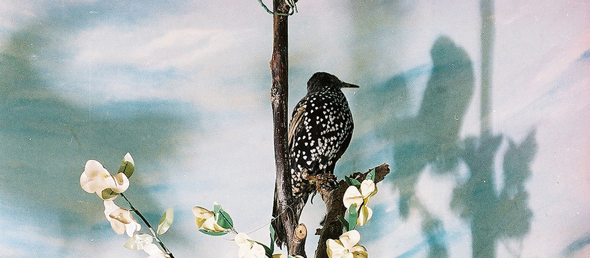 Petrit Halilaj, Special Edition (ex-Natural History Museum of Kosovo), 2013 © Petrit Halilaj, Foto/Photo: Art Collection Telekom