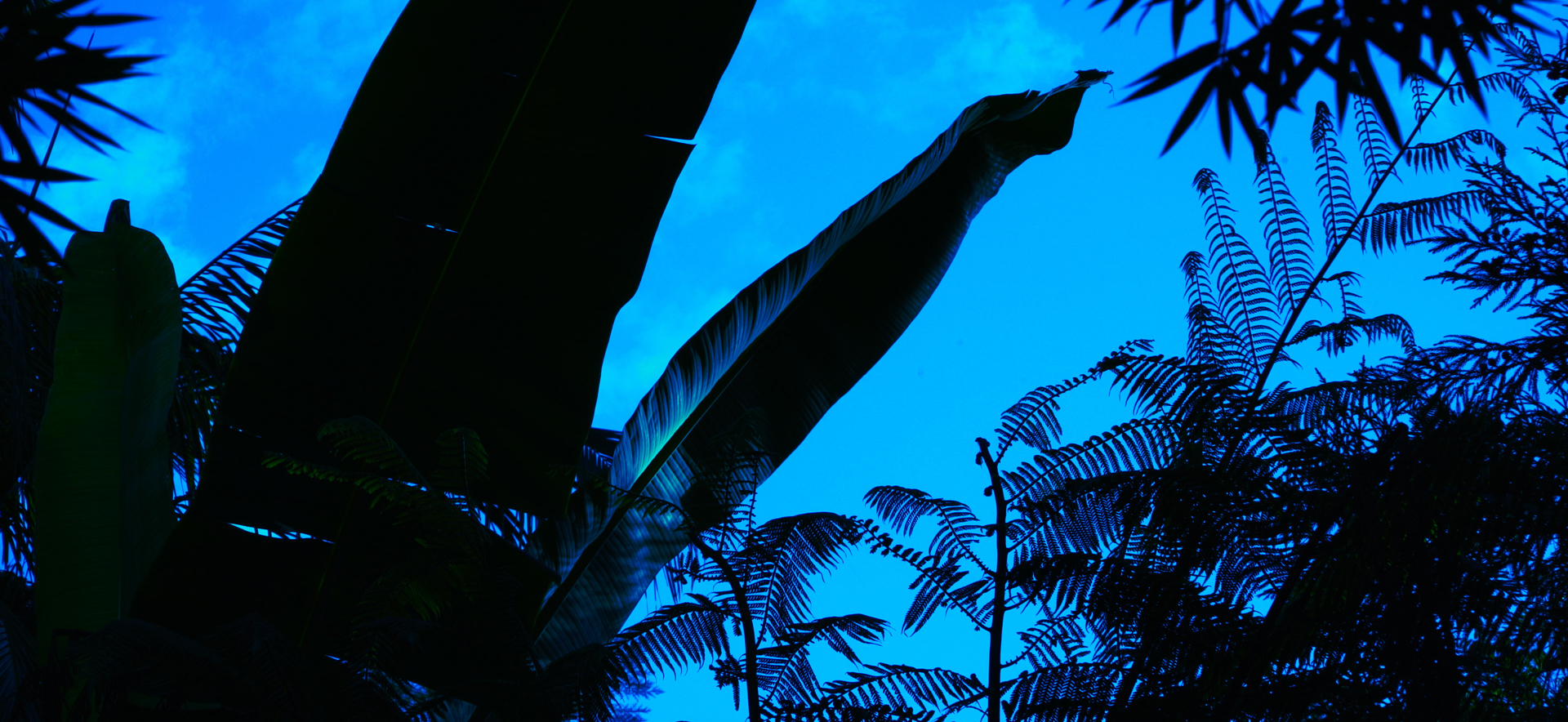 Mario Pfeifer, "Corpo Fechado" (Still), 2016 © Mario Pfeifer