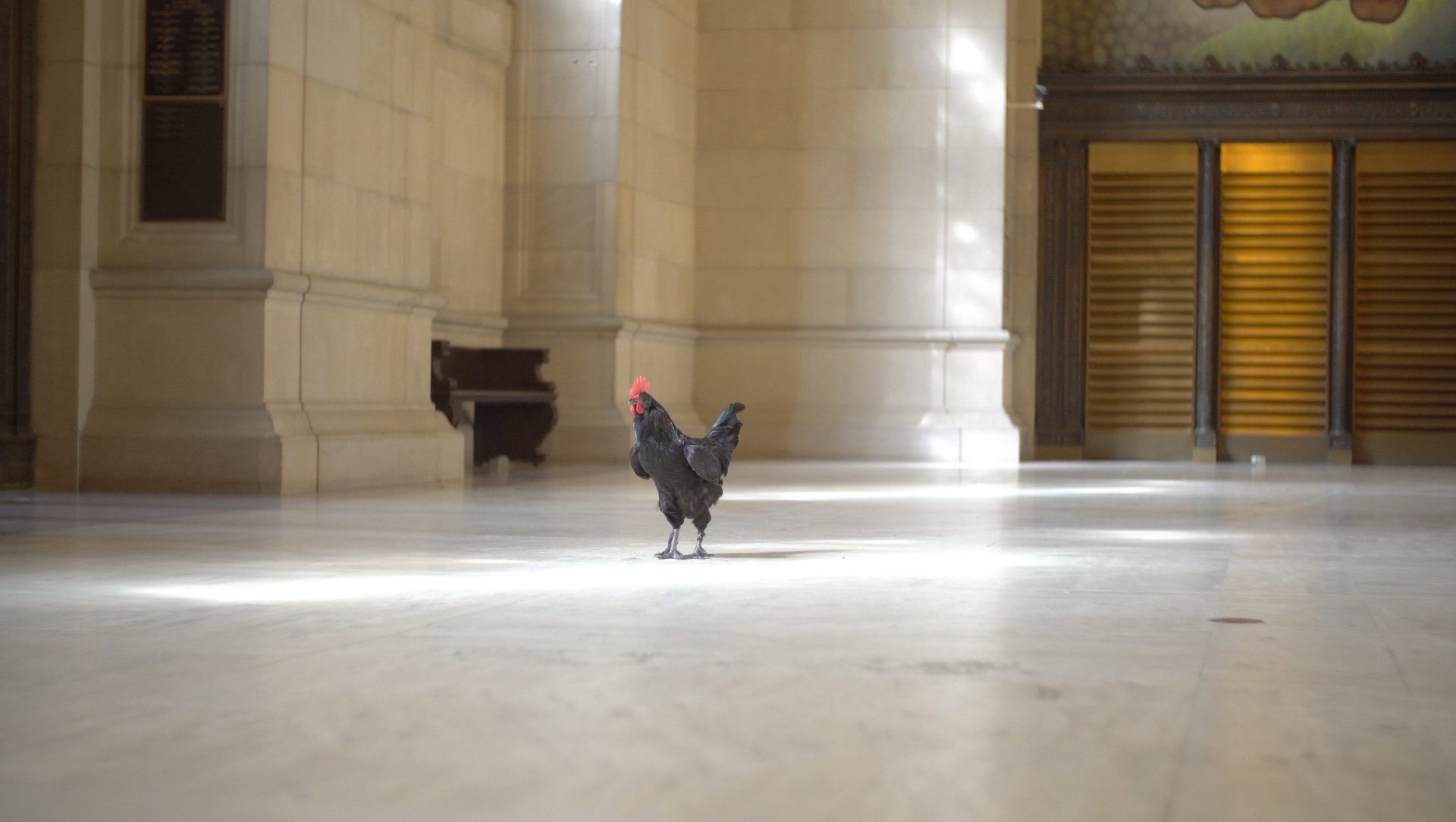 James Gregory Atkinson, The Day I Stopped Kissing my Father, 2019, Filmstill © James Gregory Atkinson